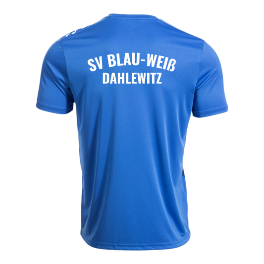 JOMA Olimpiada Kurzarmshirt des SV Blau-Weiß Dahlewitz