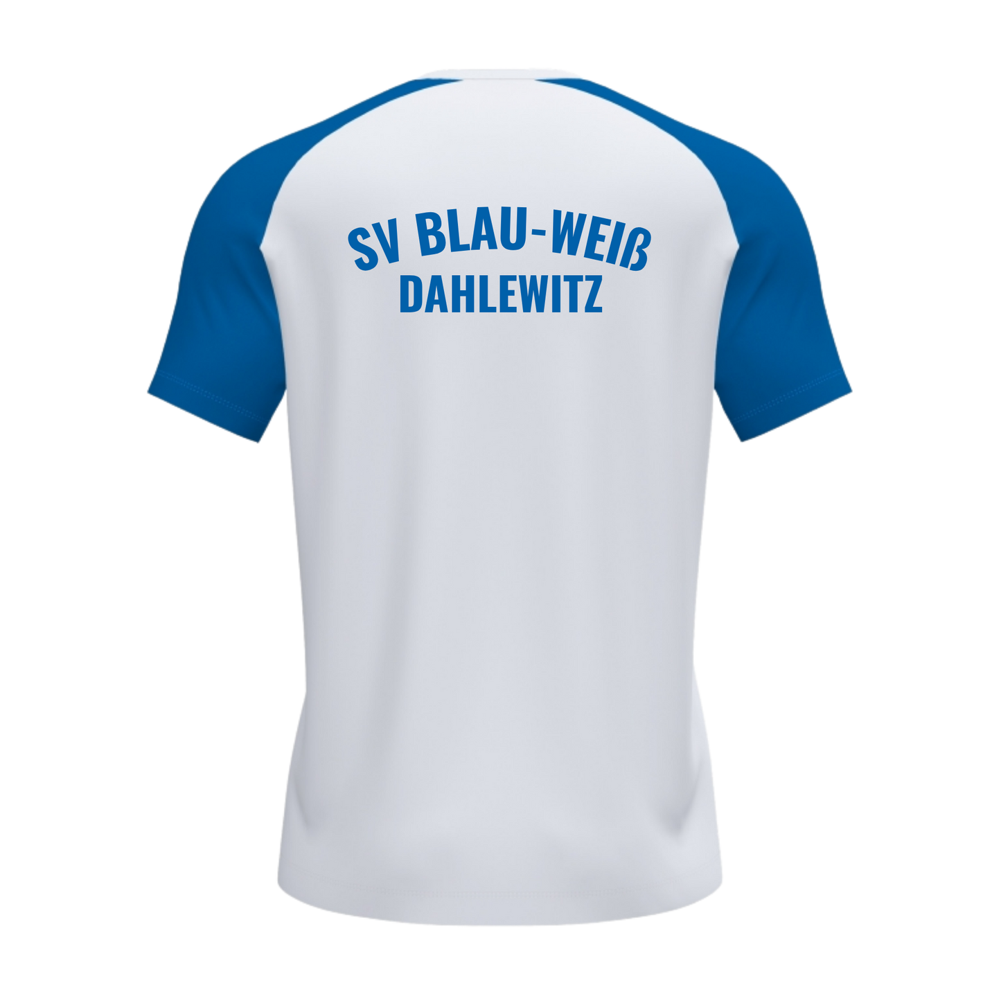 JOMA Academy IV Kurzarmshirt des SV Blau-Weiß Dahlewitz