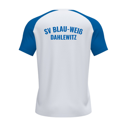 JOMA Academy IV Kurzarmshirt des SV Blau-Weiß Dahlewitz