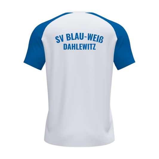 JOMA Academy IV Kurzarmshirt des SV Blau-Weiß Dahlewitz