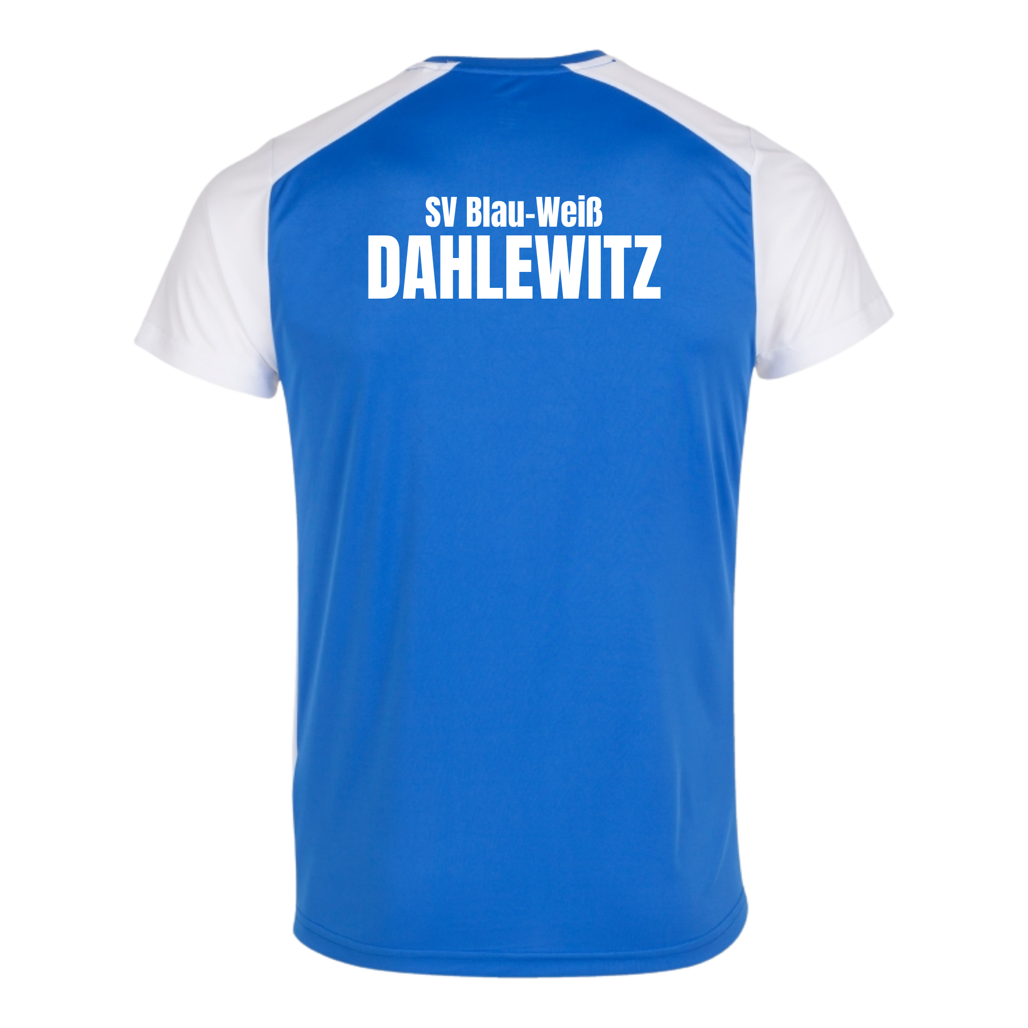 JOMA Record II Kurzarmshirt des SV Blau-Weiß Dahlewitz