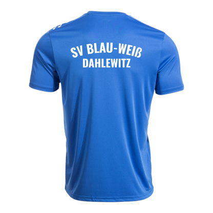 JOMA Olimpiada Kurzarmshirt des SV Blau-Weiß Dahlewitz
